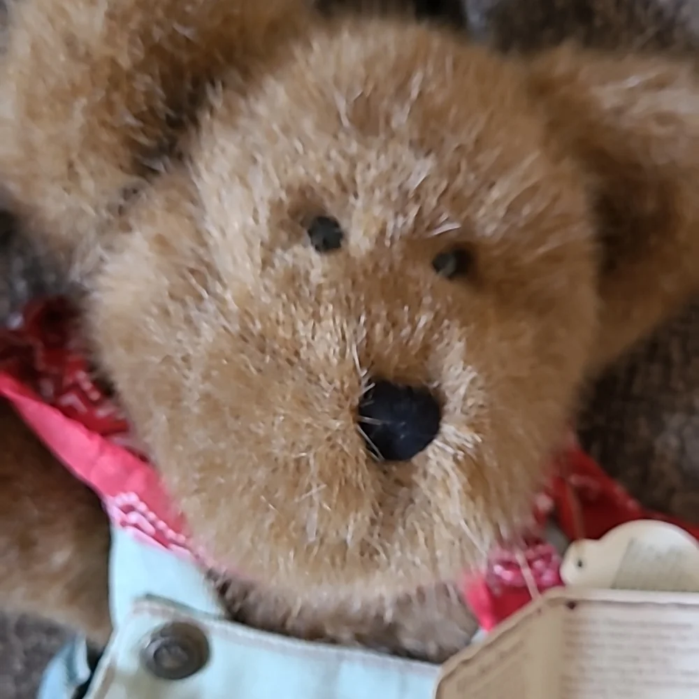 Retired Jeb McDonald Boyds Bear - Picture 3 of 4